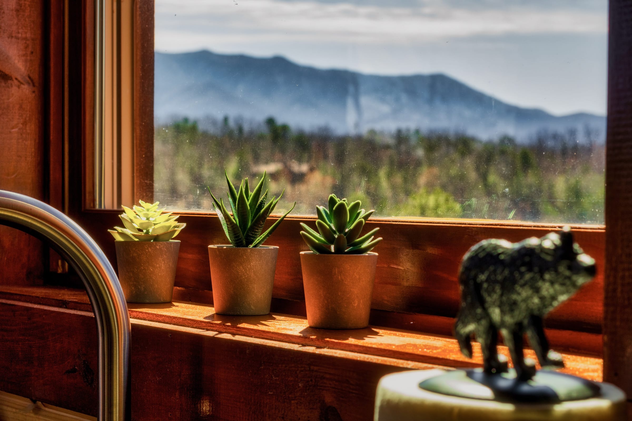 Firefly Bliss — photo 21