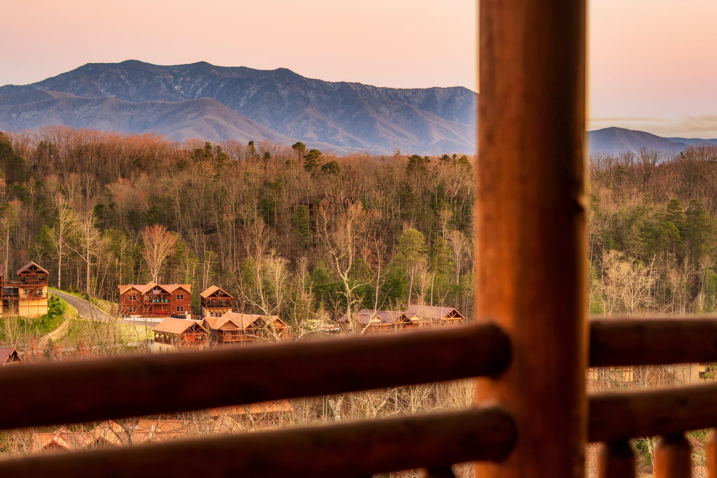 Firefly Bliss — photo 28