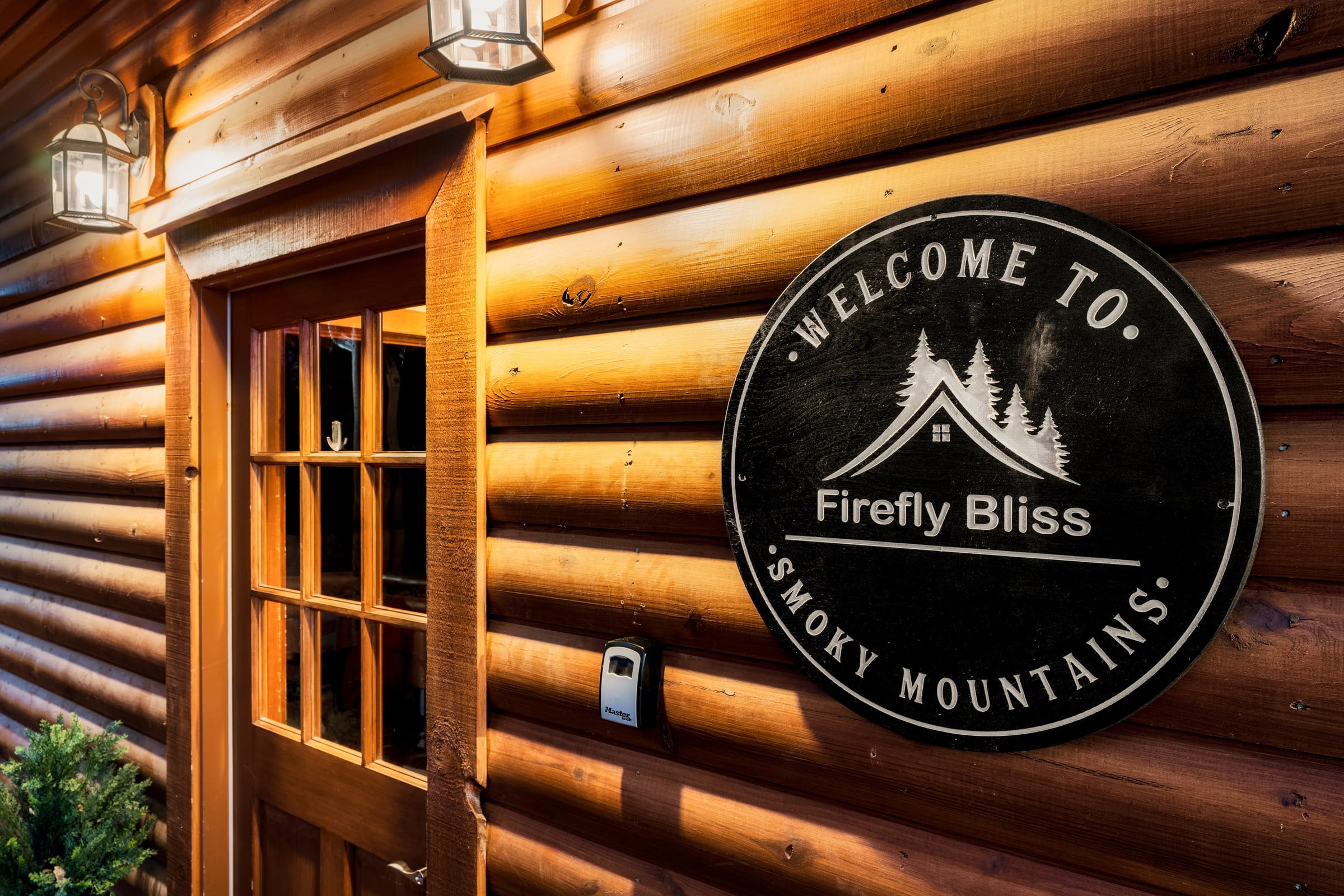 Firefly Bliss — photo 113