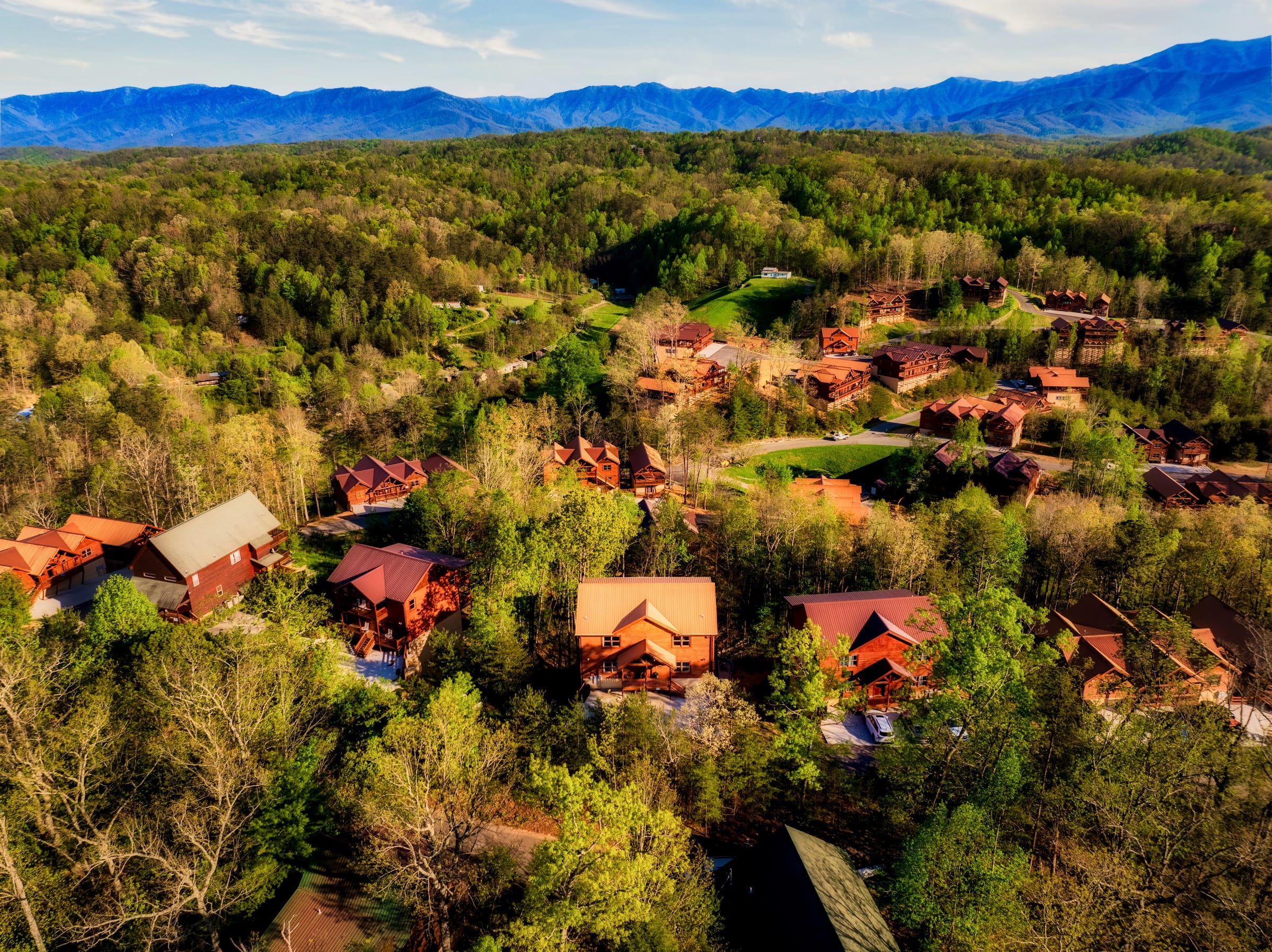 Firefly Bliss — photo 119