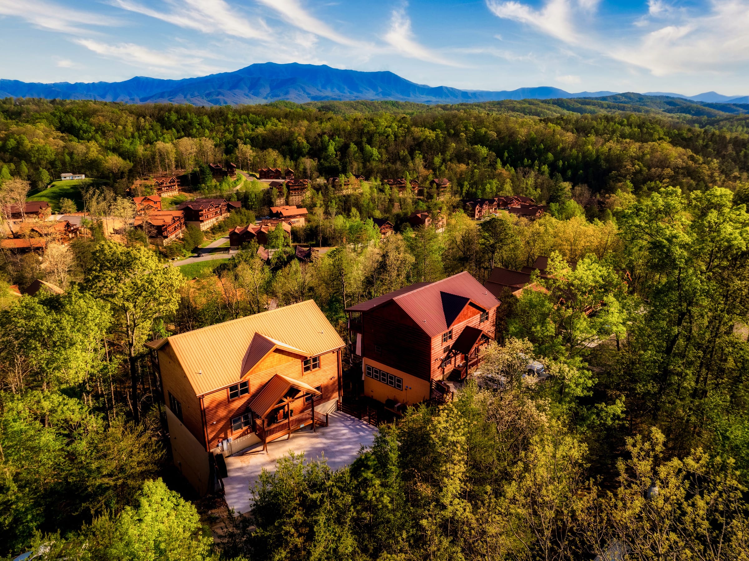 Firefly Bliss — photo 120