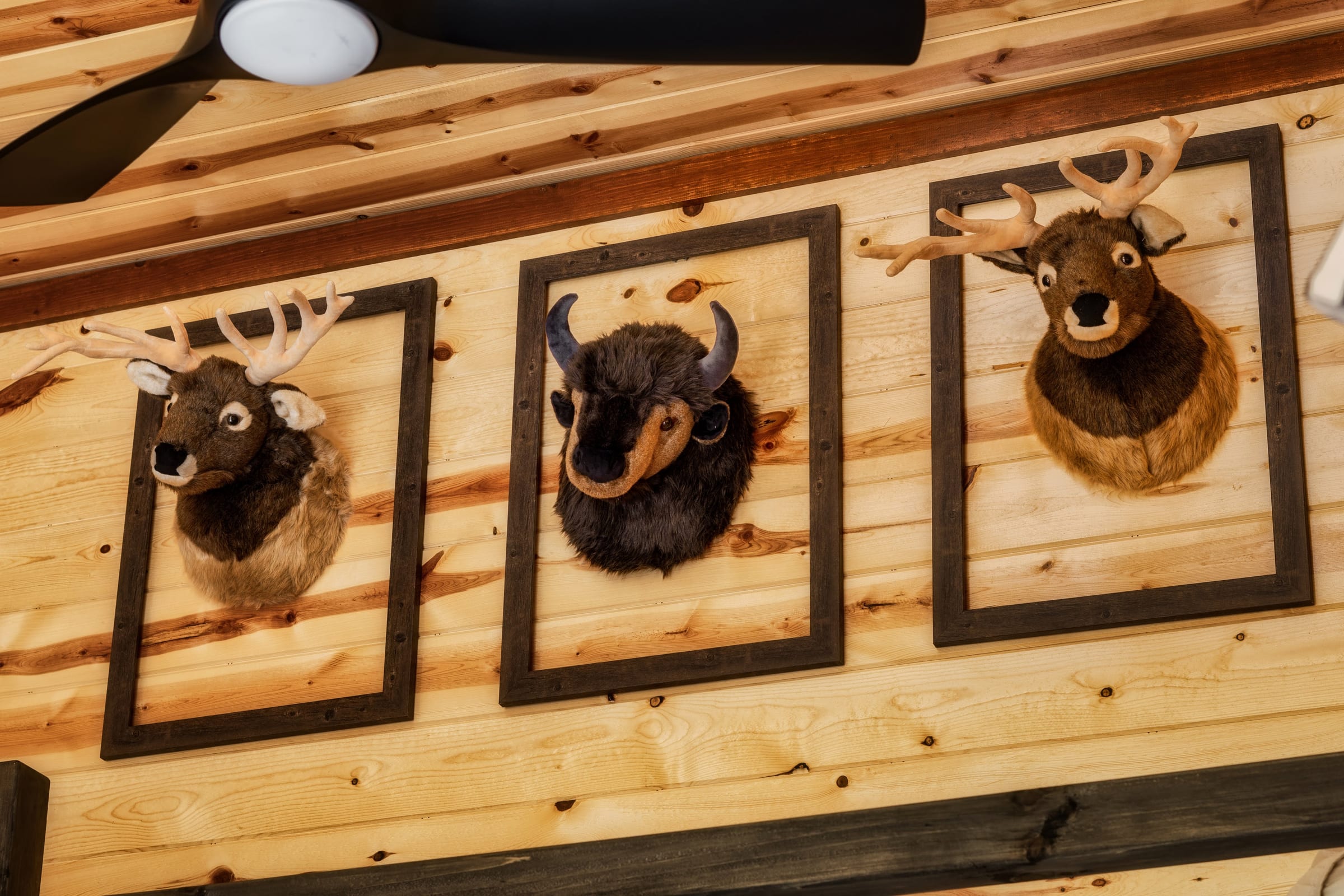 Firefly Bliss — photo 134