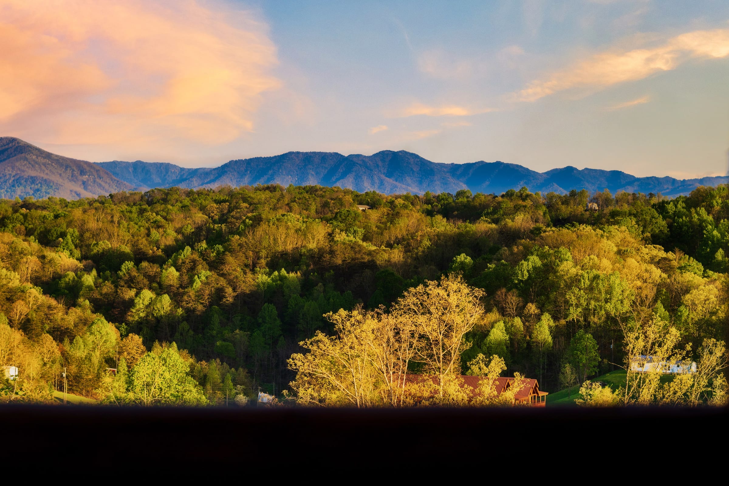 Firefly Bliss — photo 142