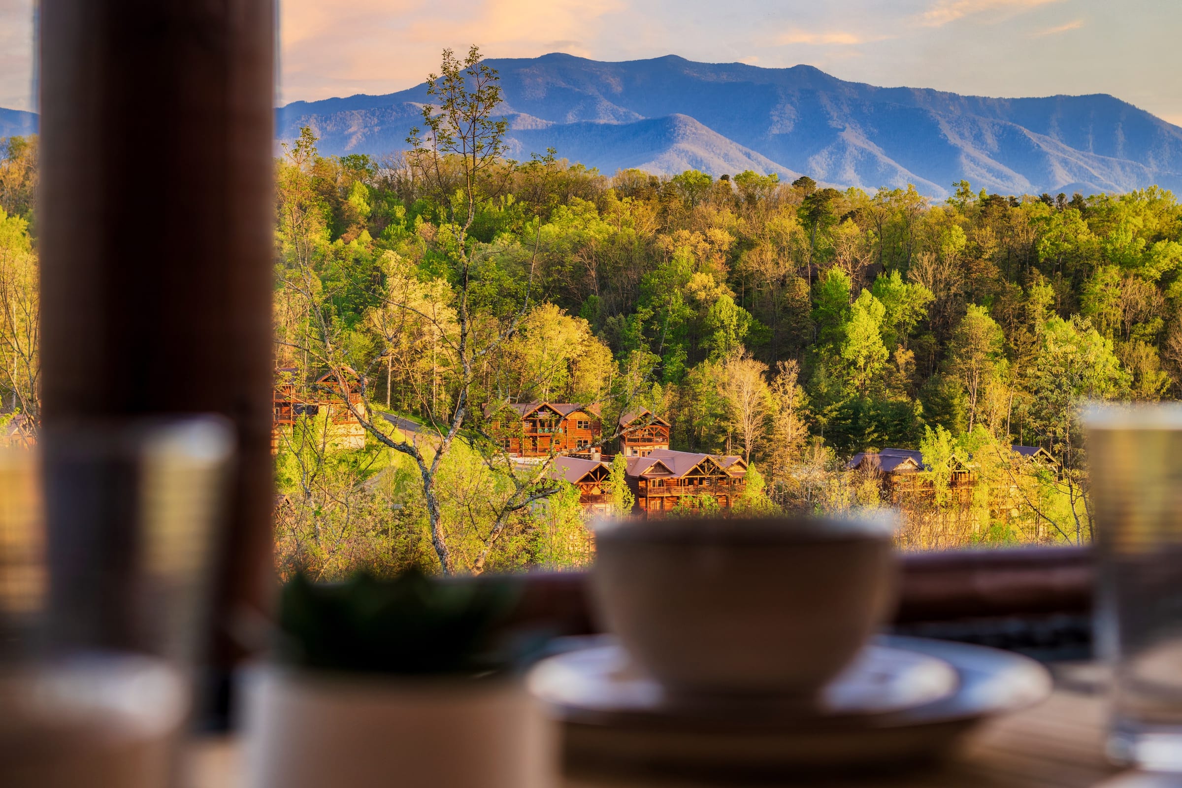 Firefly Bliss — photo 159