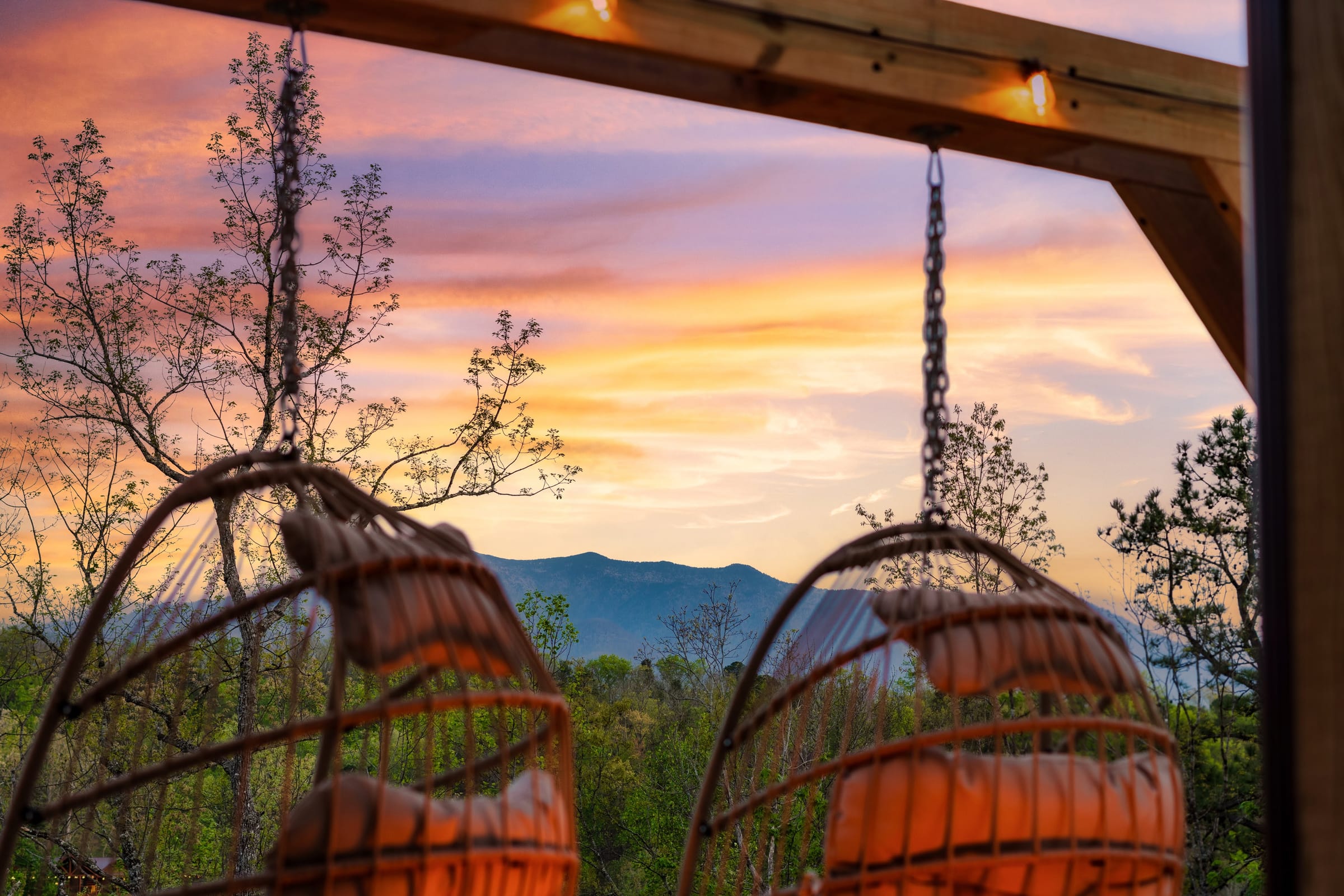 Firefly Bliss — photo 185