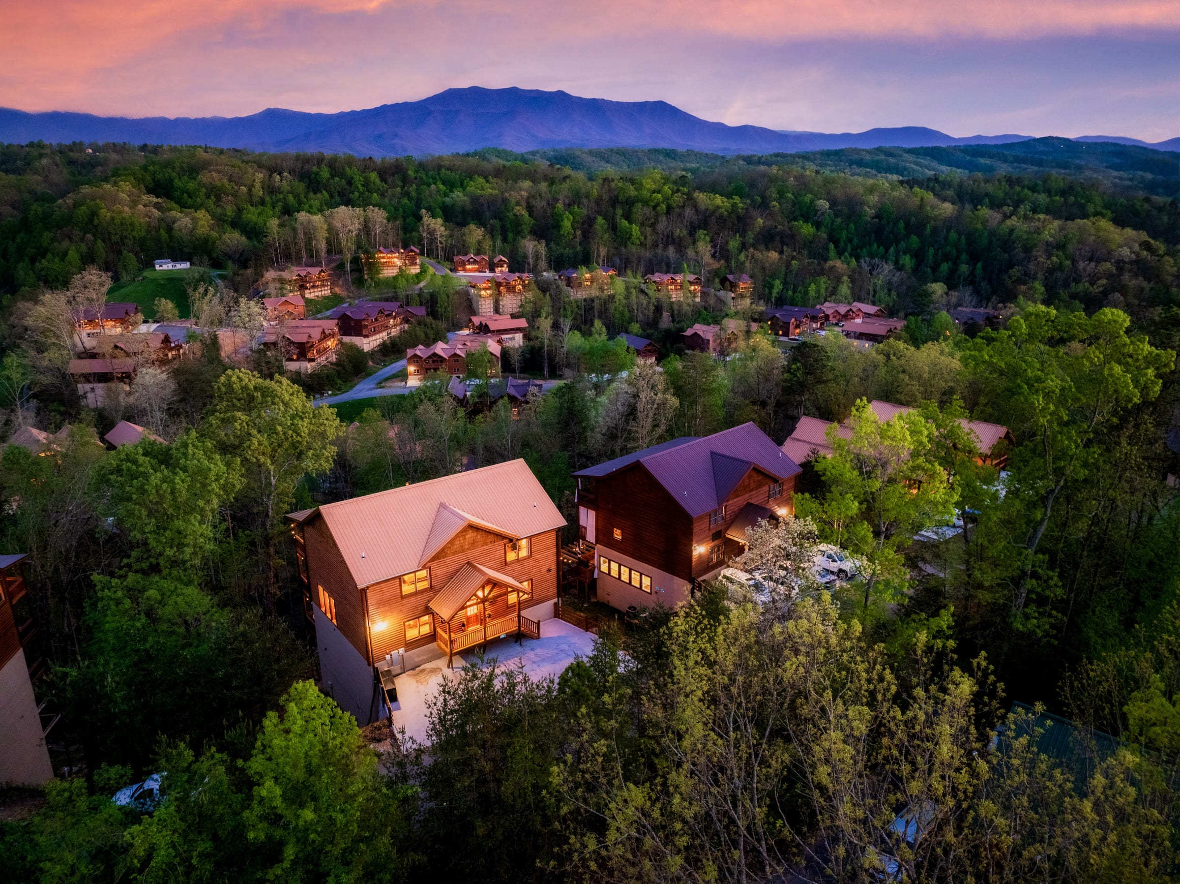 Firefly Bliss — photo 198