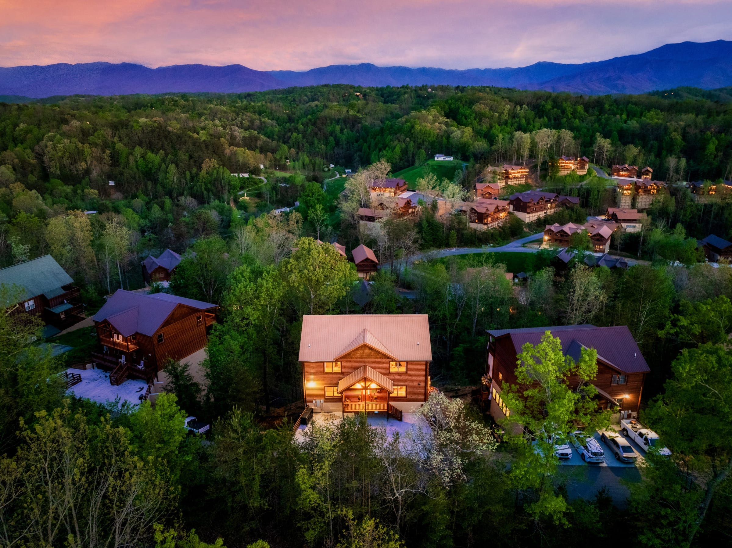 Firefly Bliss — photo 199