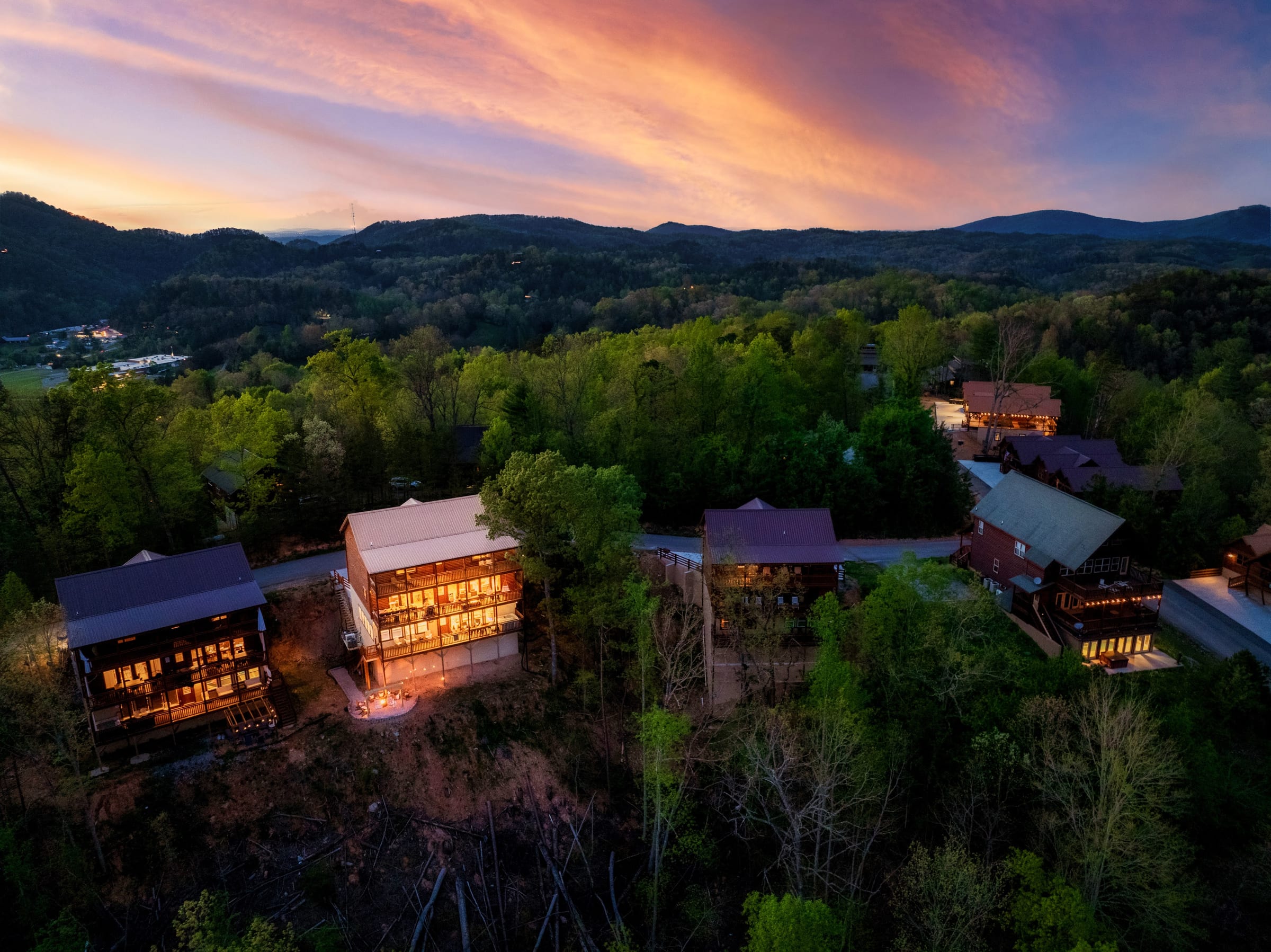 Firefly Bliss — photo 200